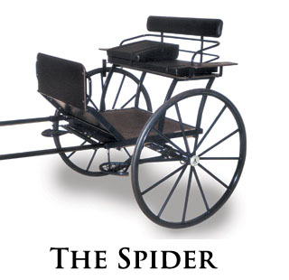 the spider